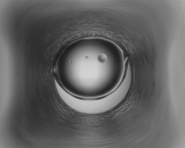 X0000115271491200911061257