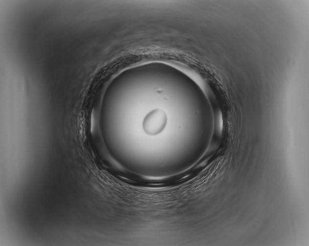 X0000115271493200911061257