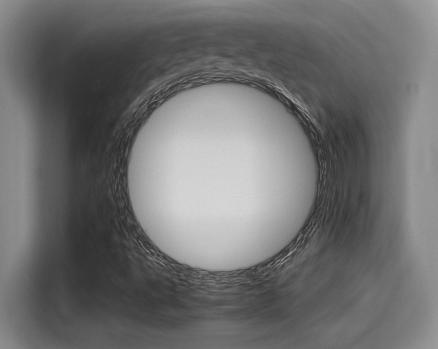 X0000115271495200911061257