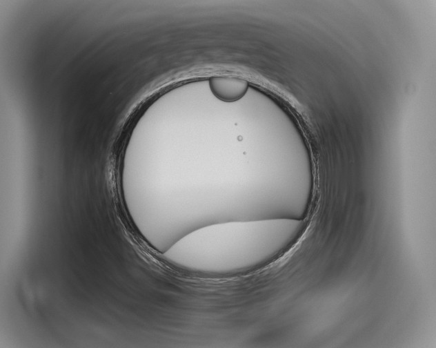 X0000115271498200911061257