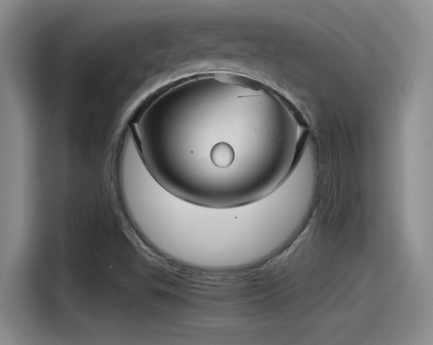 X0000115271503200911061257