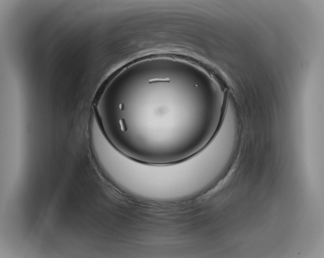 X0000115271505200911061257