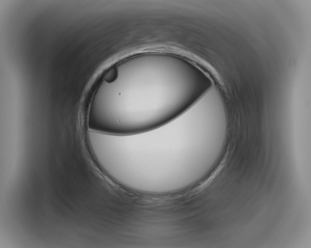 X0000115271506200911061257