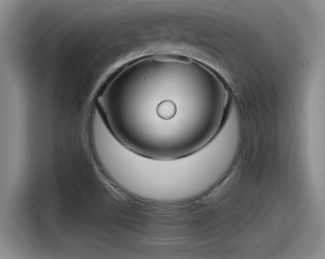 X0000115271507200911061257