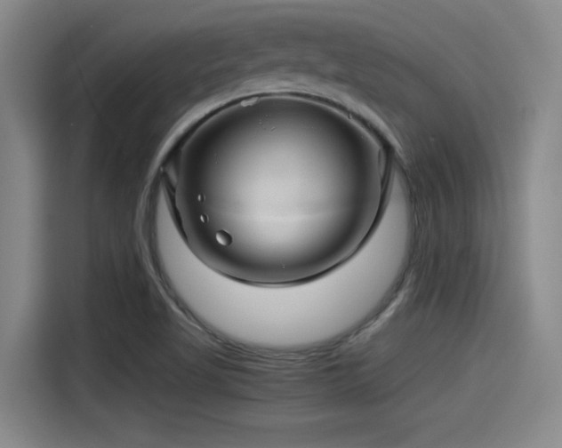 X0000115271509200911061257