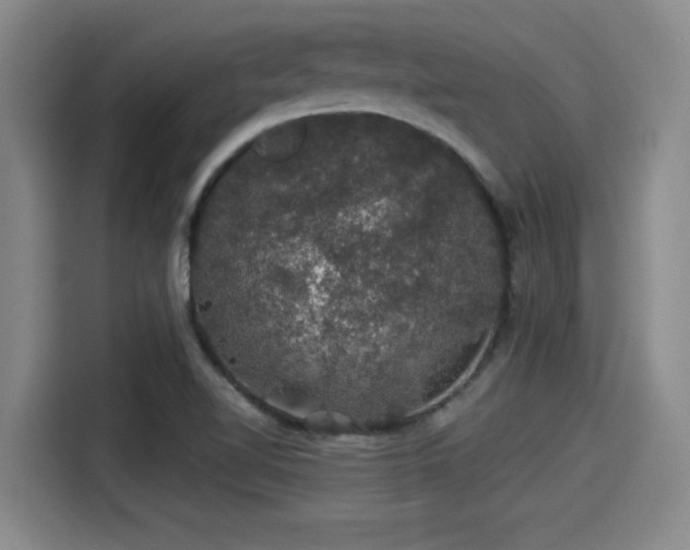 X0000115271510200911061257