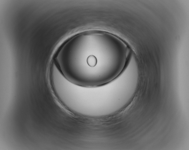 X0000115271511200911061257