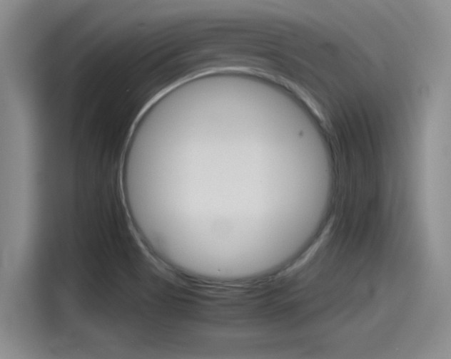 X0000115271513200911061257