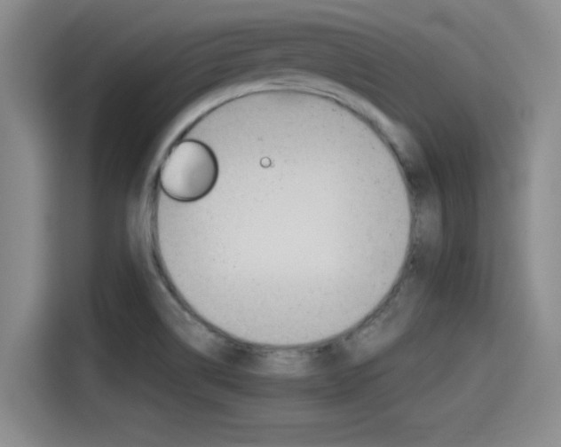 X0000115271514200911061257
