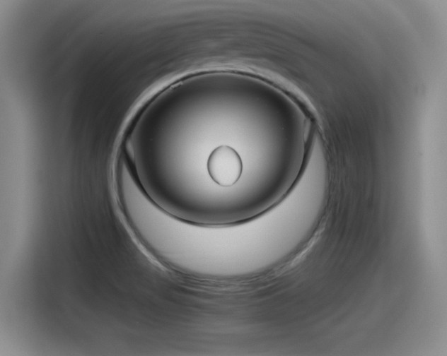 X0000115271517200911061257