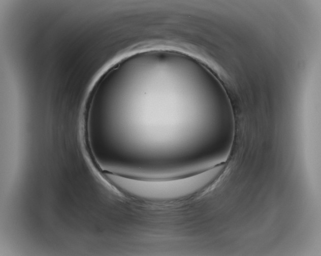 X0000115271518200911061257