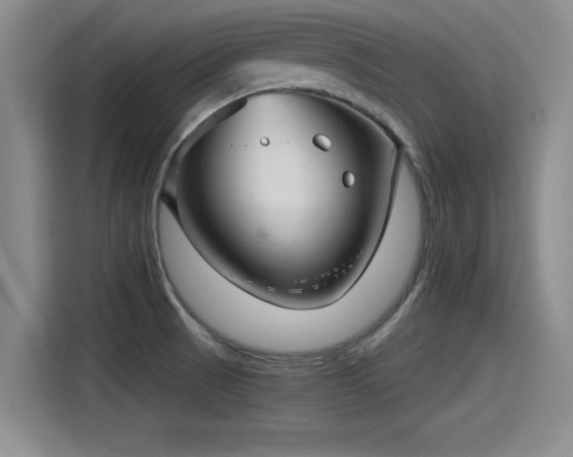X0000115271521200911061257