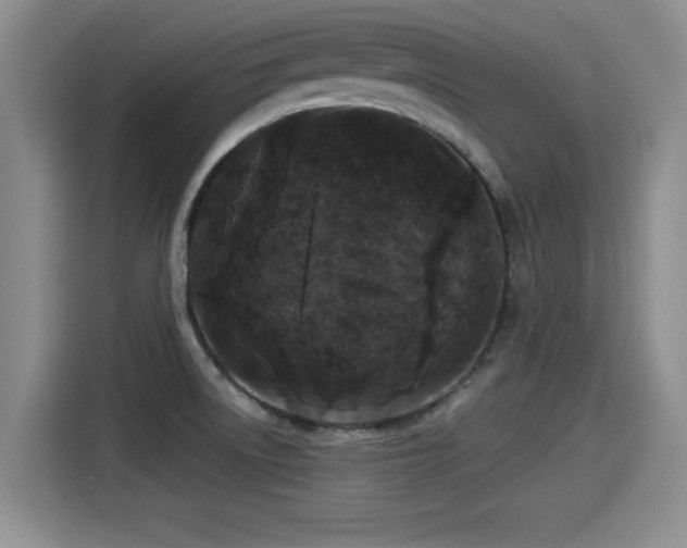 X0000115271522200911061257