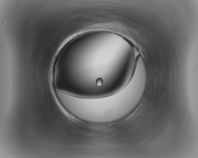 X0000115271523200911061257