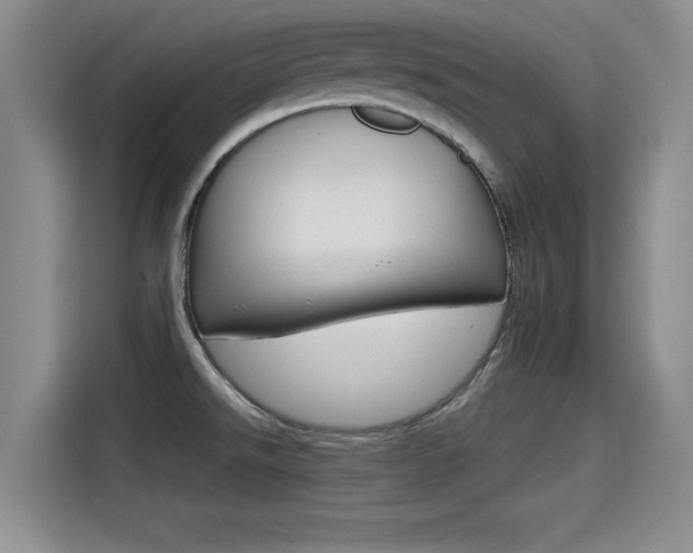 X0000115271526200911061257