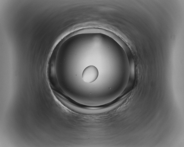 X0000115271527200911061257