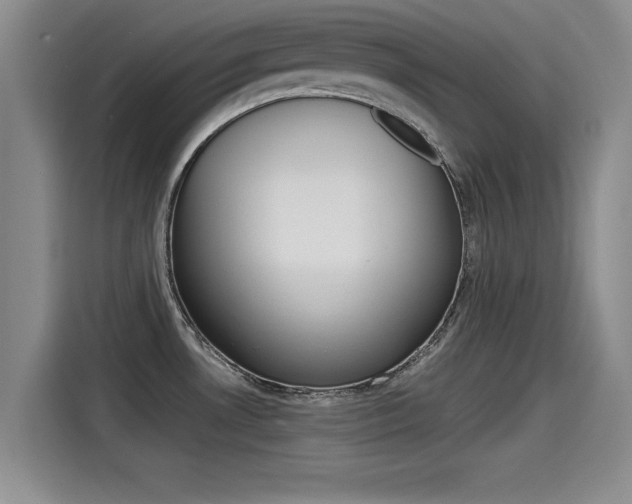 X0000115271530200911061258