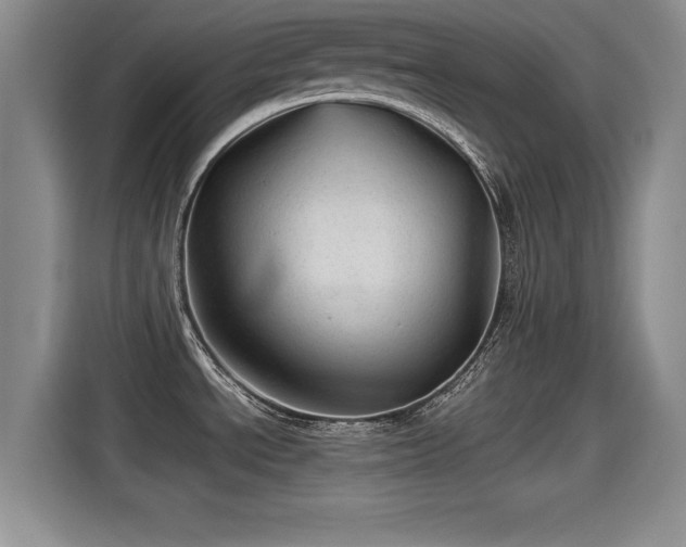 X0000115271534200911061258