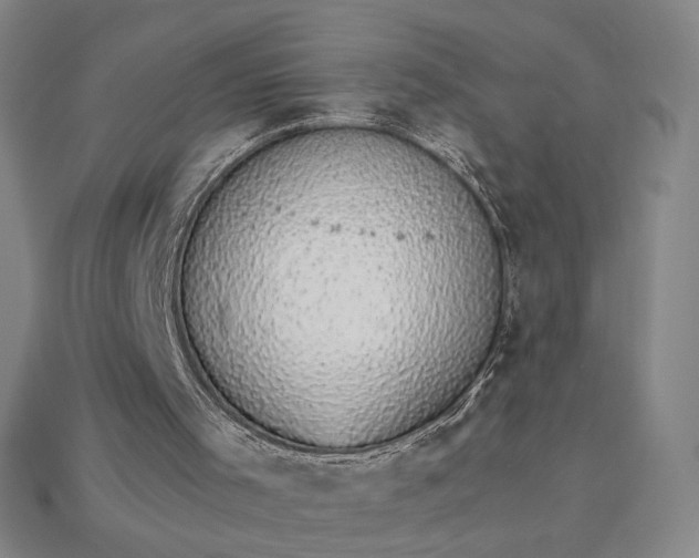 X0000115270001200911131817