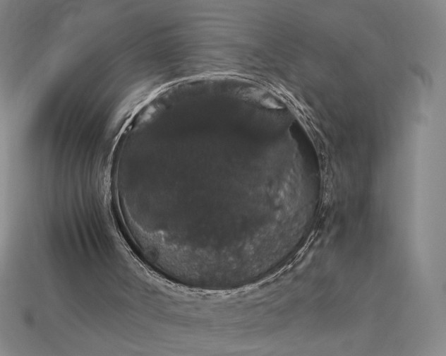 X0000115270002200911131817