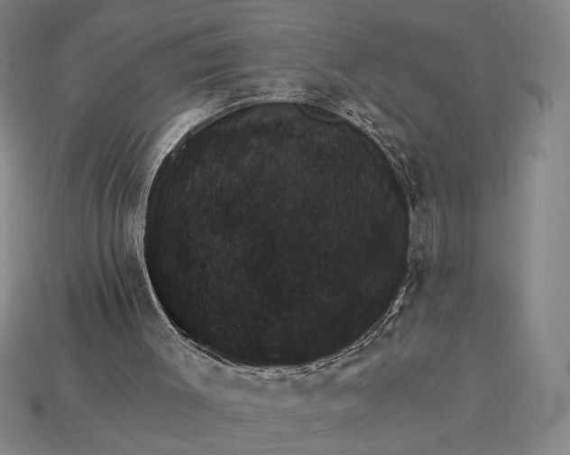 X0000115270003200911131817