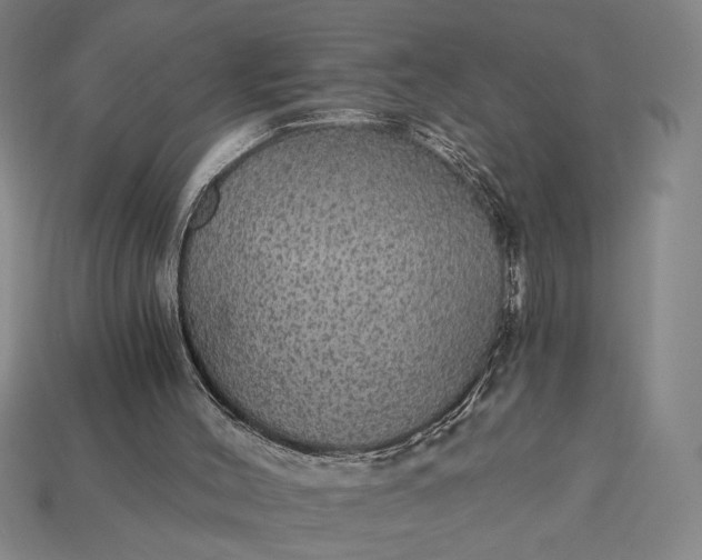 X0000115270004200911131817