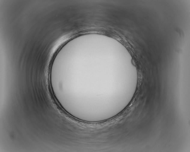 X0000115270006200911131817