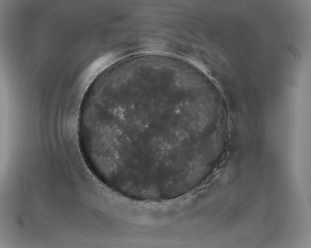 X0000115270007200911131817