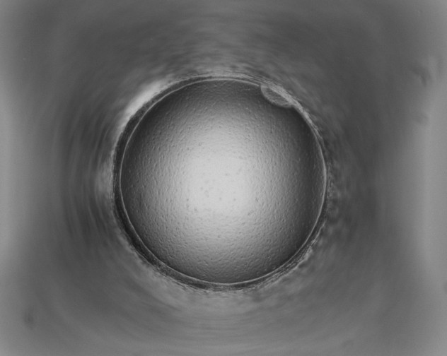 X0000115270008200911131817