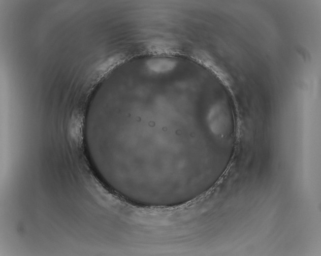 X0000115270009200911131817