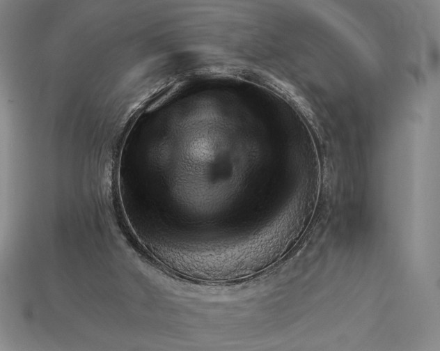 X0000115270010200911131817