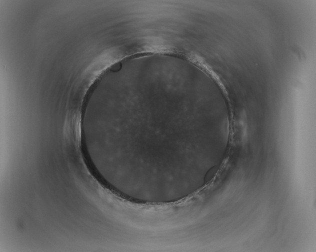 X0000115270011200911131817