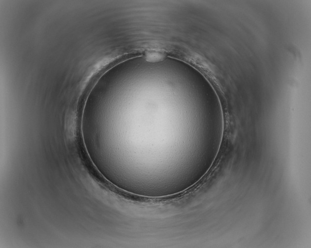 X0000115270012200911131817