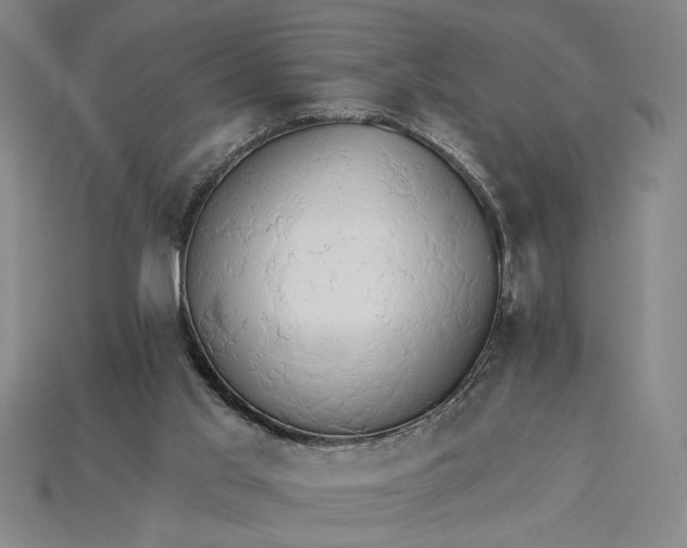 X0000115270013200911131817