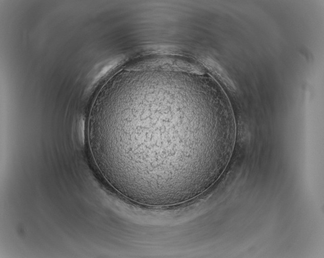 X0000115270014200911131817