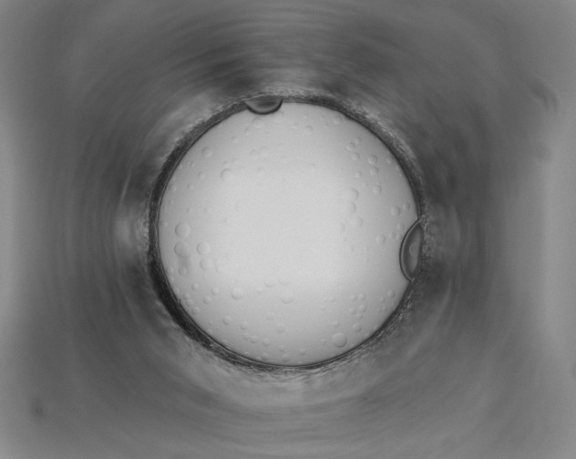 X0000115270015200911131817
