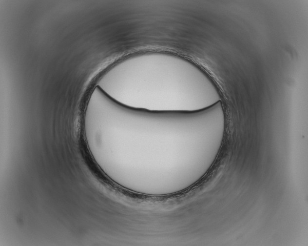 X0000115270016200911131817