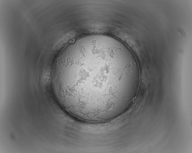 X0000115270017200911131817