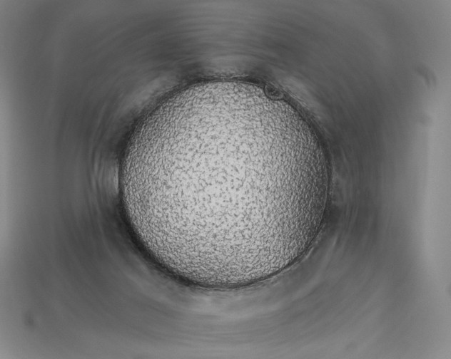 X0000115270021200911131817