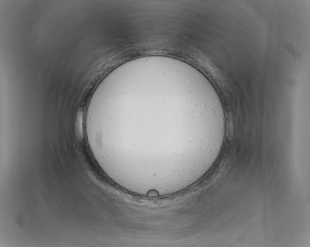 X0000115270022200911131817