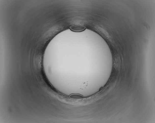 X0000115270023200911131817