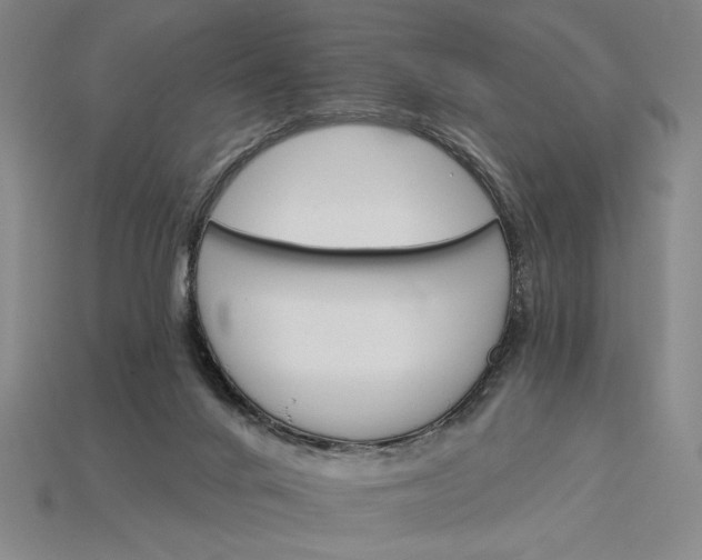 X0000115270024200911131817