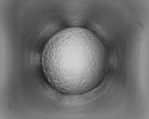 X0000115270025200911131817