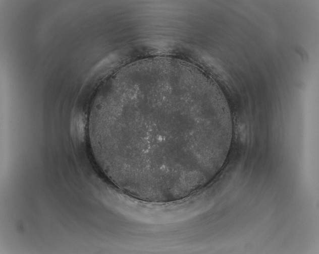 X0000115270026200911131817