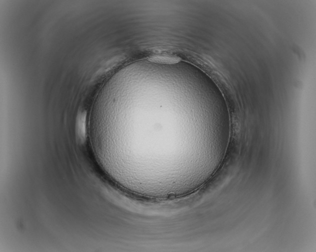 X0000115270028200911131817