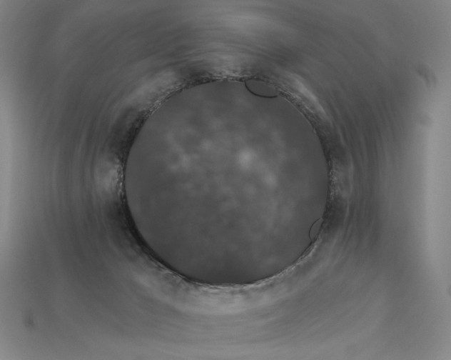 X0000115270029200911131817