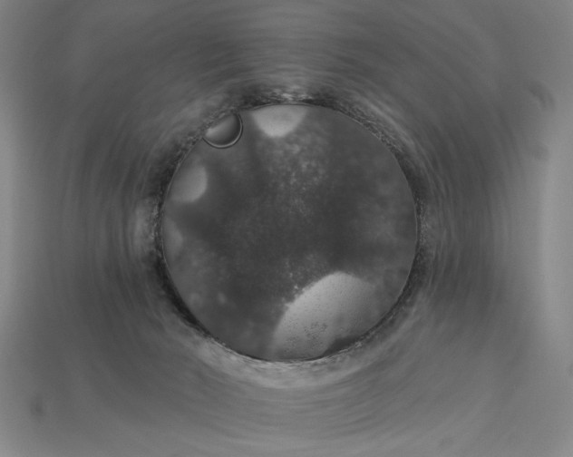 X0000115270030200911131817