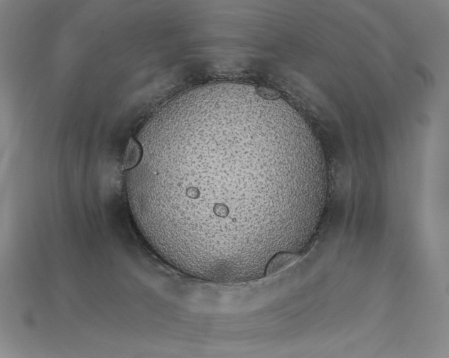 X0000115270033200911131817