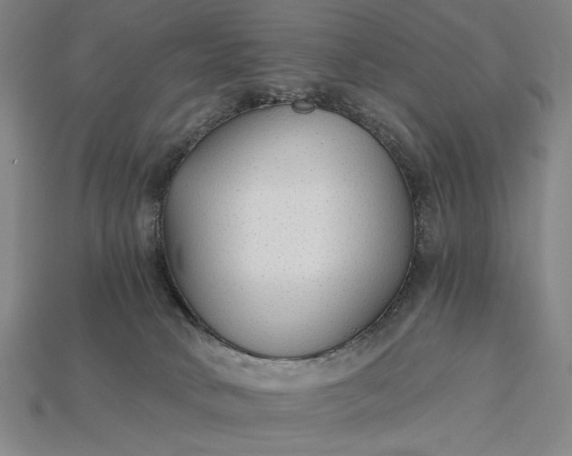 X0000115270034200911131817