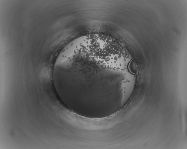 X0000115270035200911131817